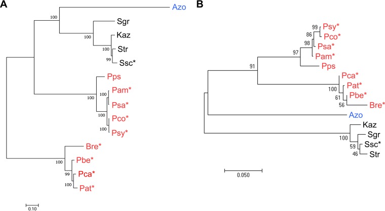 FIG 6