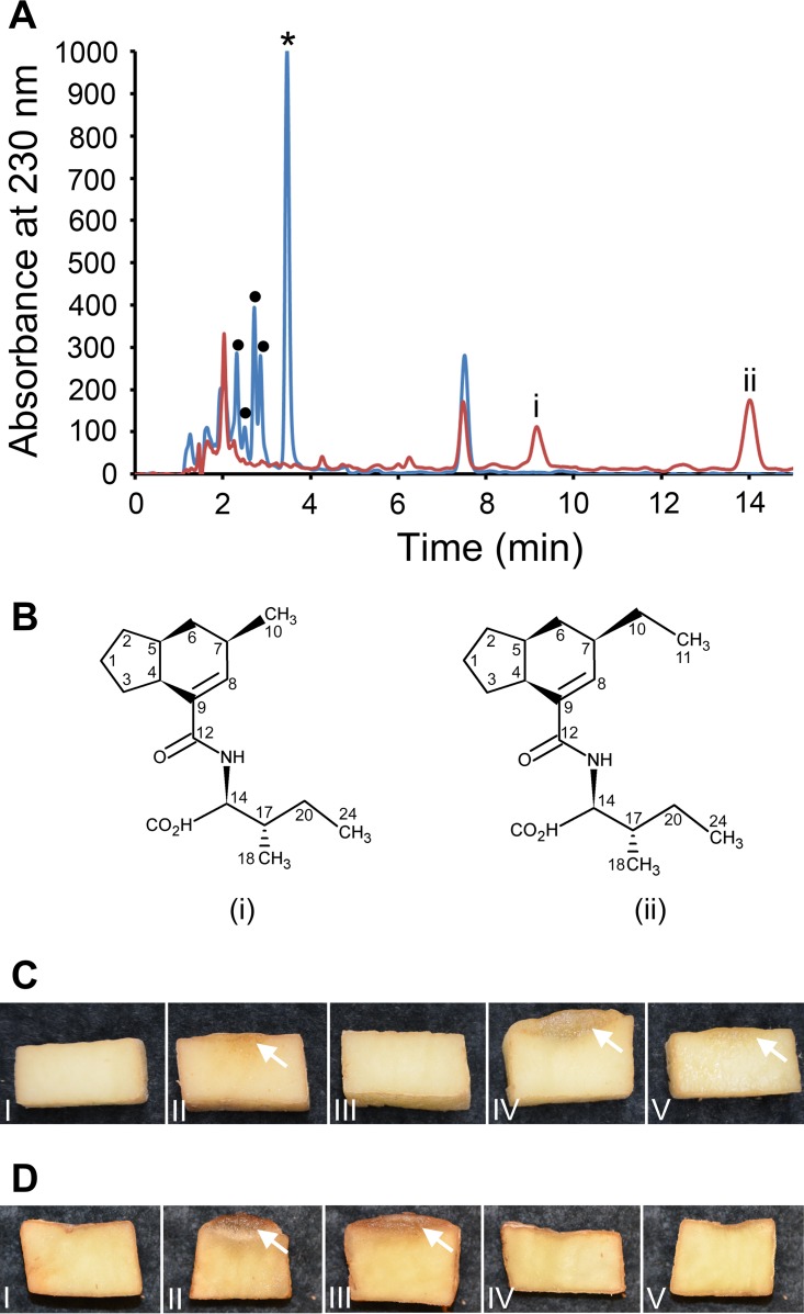 FIG 3