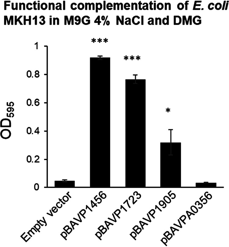 FIG 5