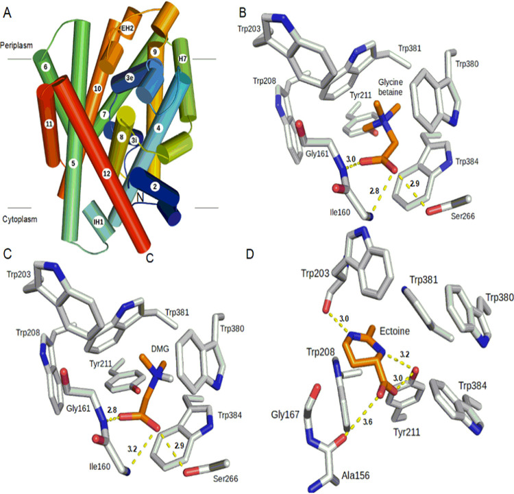 FIG 6