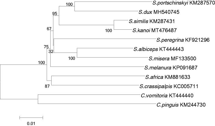 Figure 1.