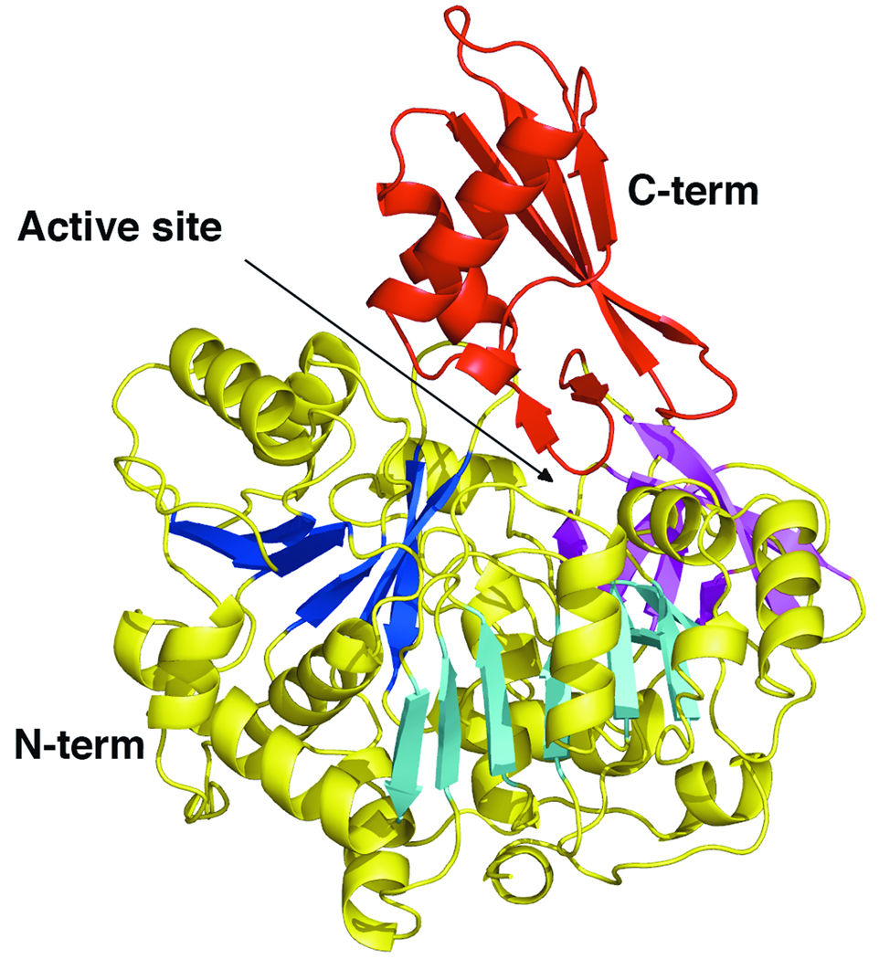 Figure 2