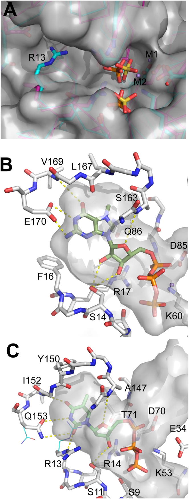 Figure 6