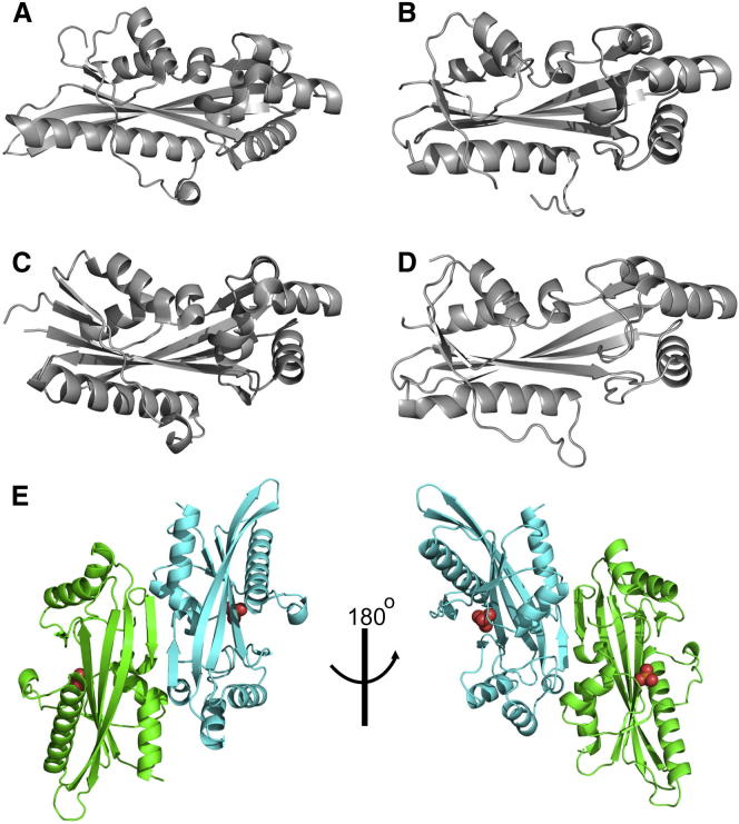 Figure 3