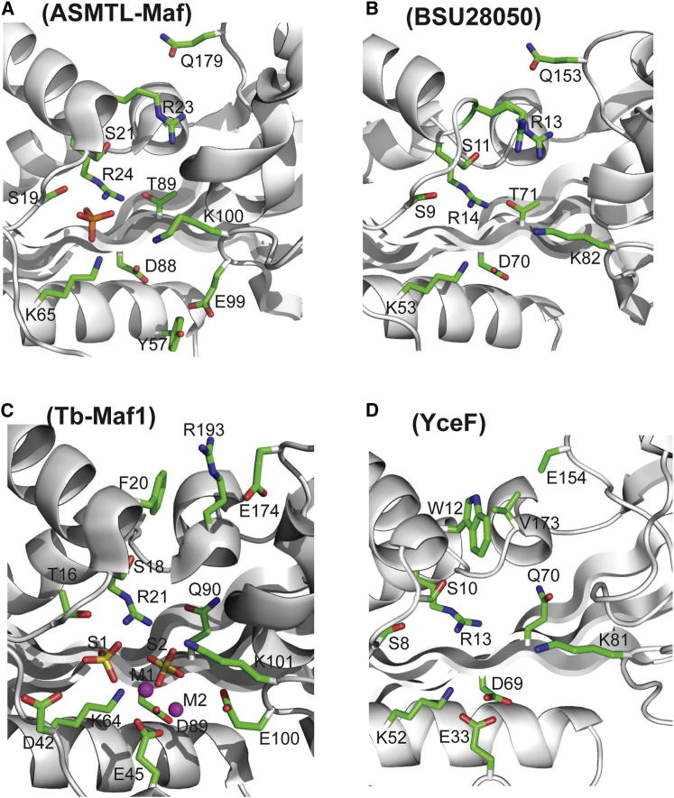 Figure 5