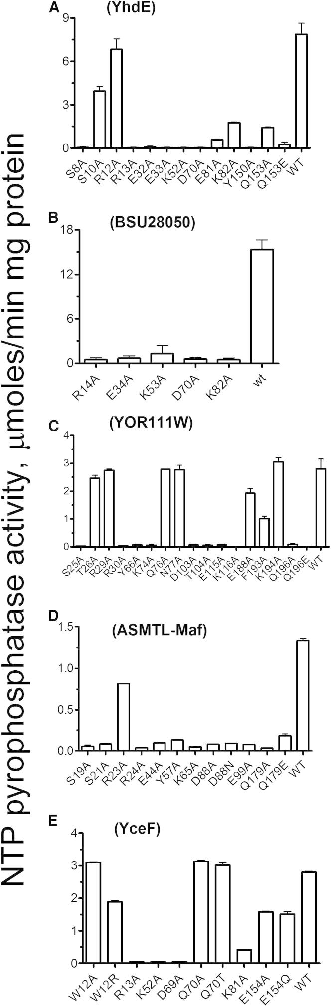 Figure 4