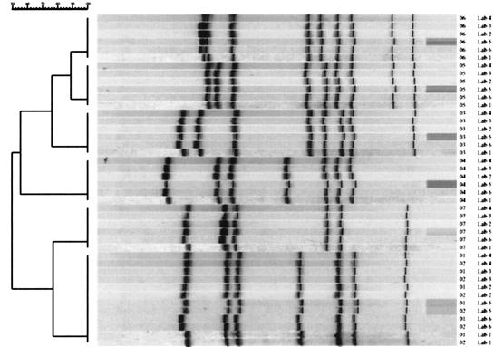 FIG. 6