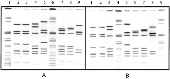 FIG. 5