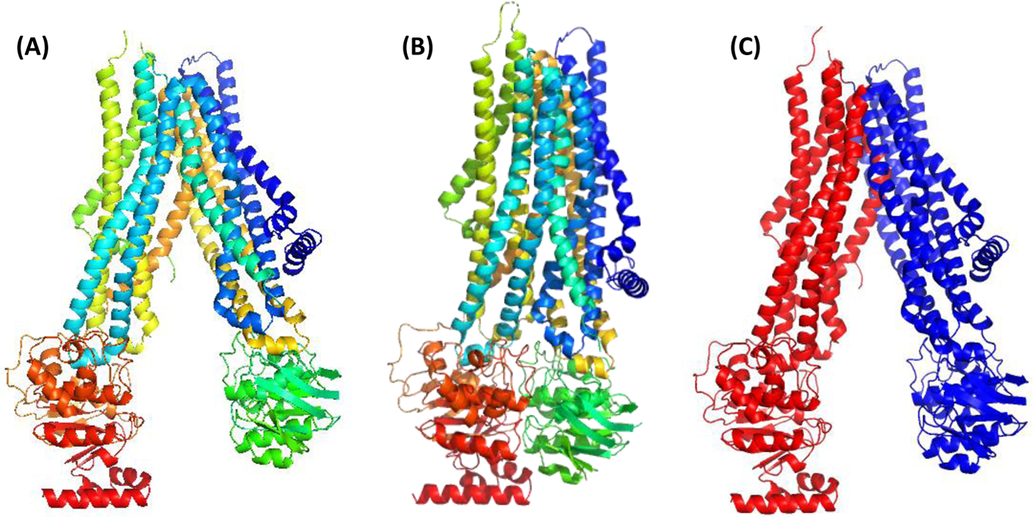 Figure 5.