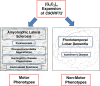 Fig. 1