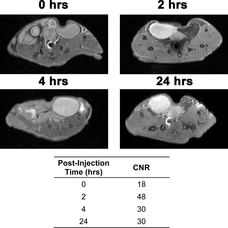 Figure 7