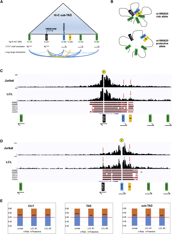 Figure 6