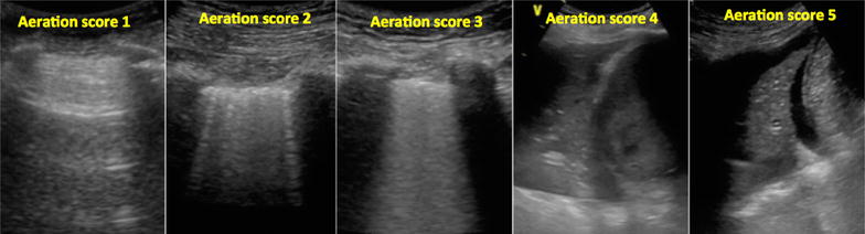 Fig. 6