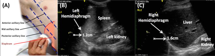 Fig. 7