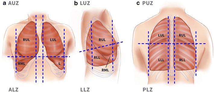 Fig. 5