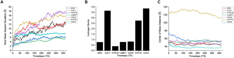 FIGURE 7