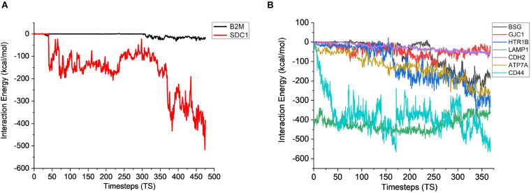 FIGURE 6