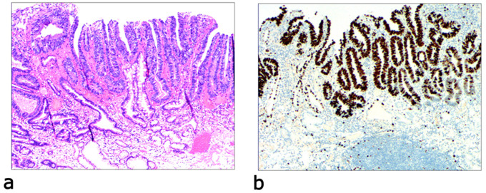 Fig. 7