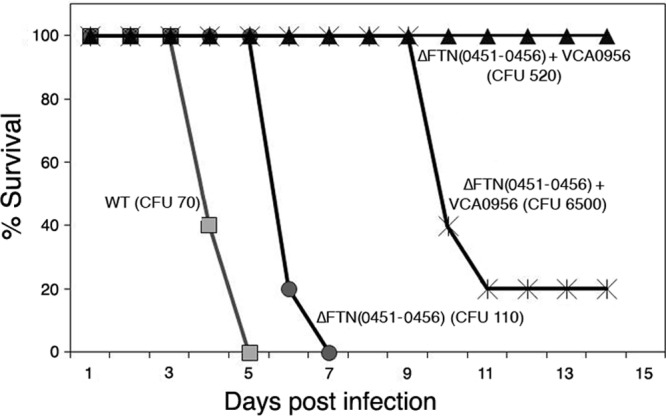 Fig 6