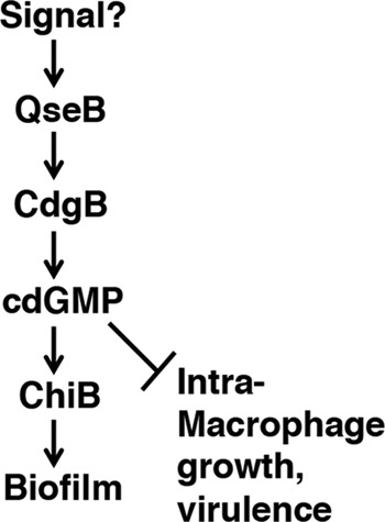 Fig 8