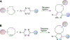 Scheme 3