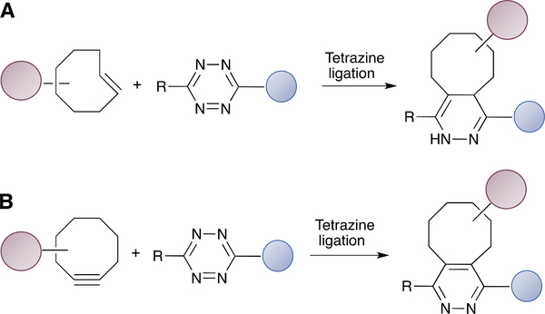 Scheme 3