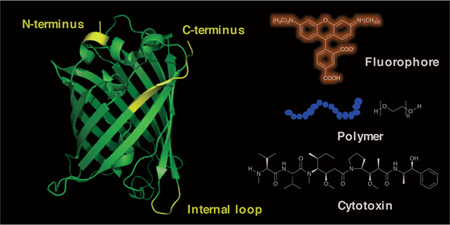 graphic file with name nihms-990781-f0001.jpg