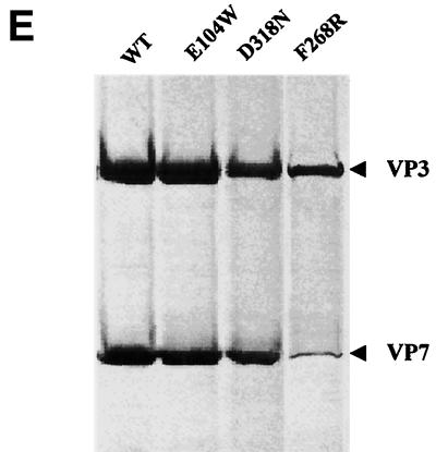 FIG. 5