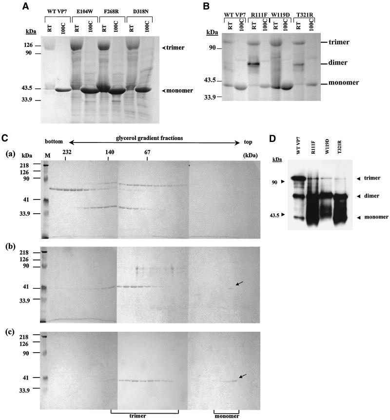 FIG. 8