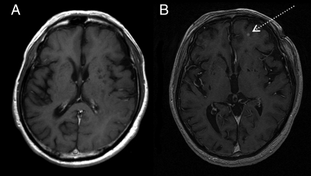 Fig. 1.