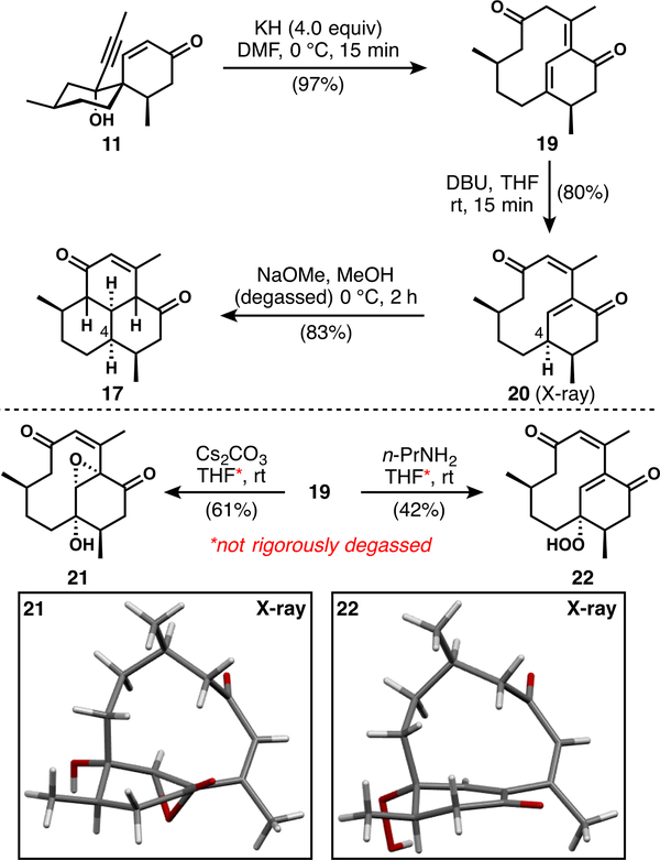 Scheme 3.