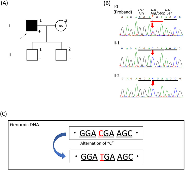 FIGURE 4