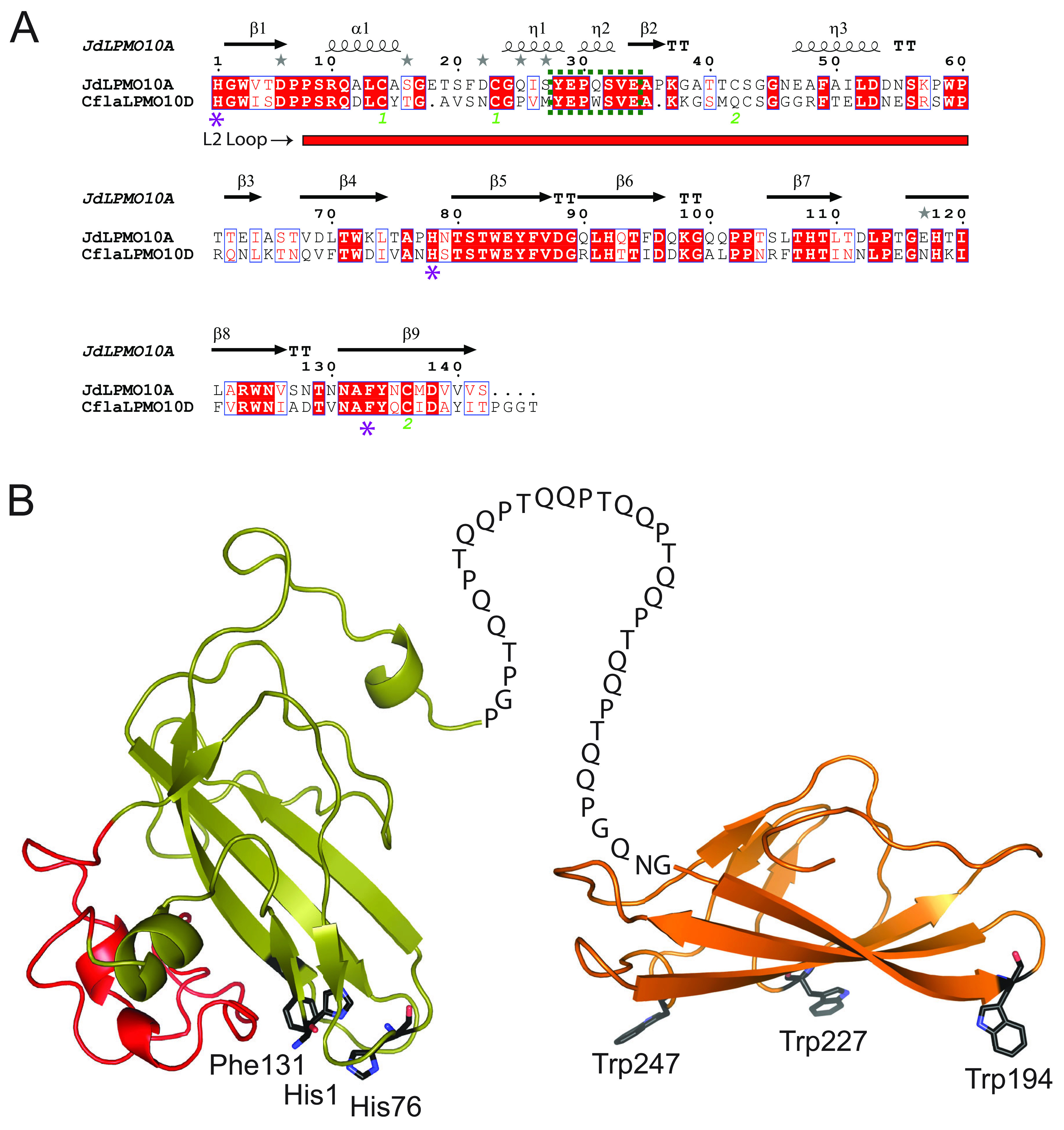 FIG 1