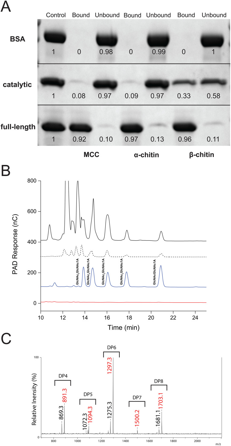 FIG 2