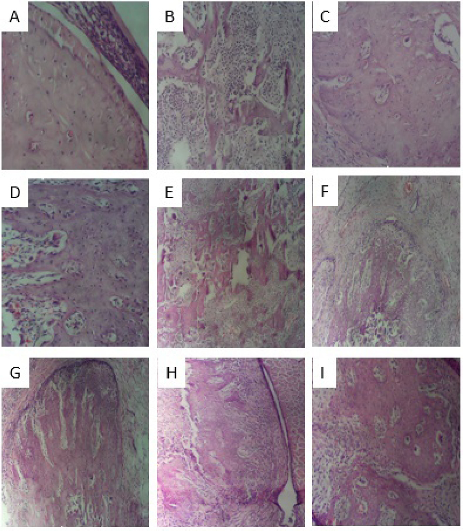 Fig.9.