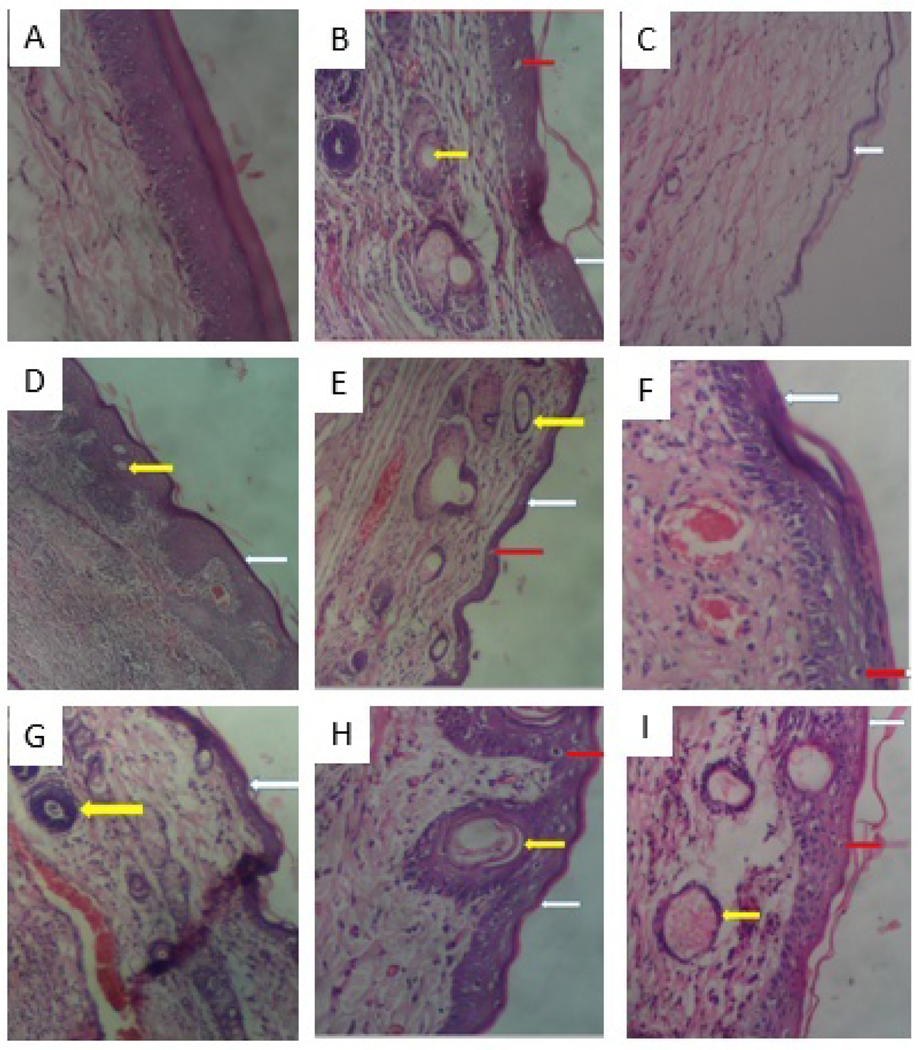 Fig.8.