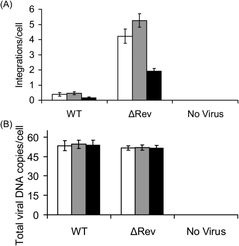 Fig. 6