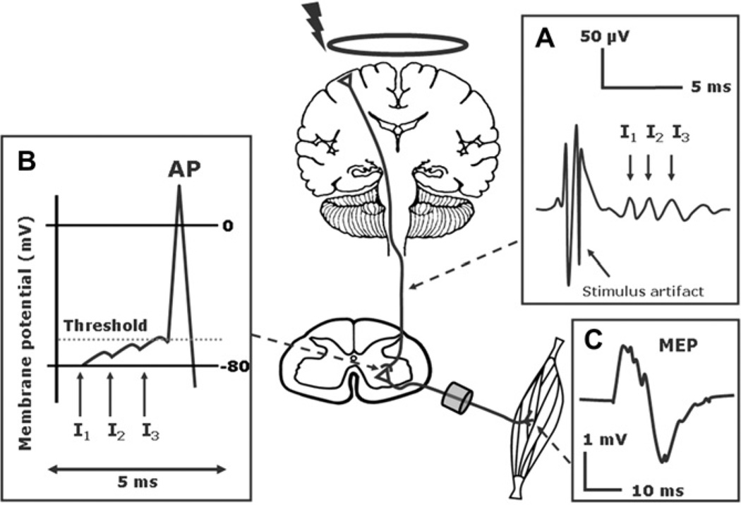 Fig. 1