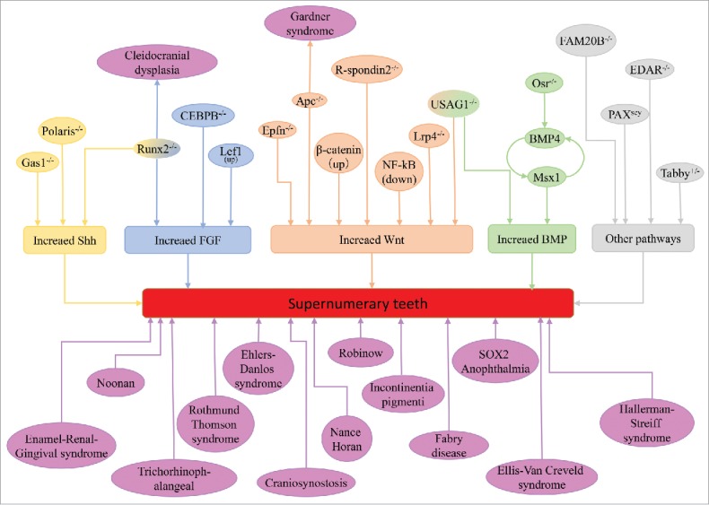 FIGURE 1.