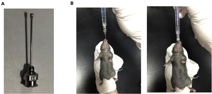 Figure 2