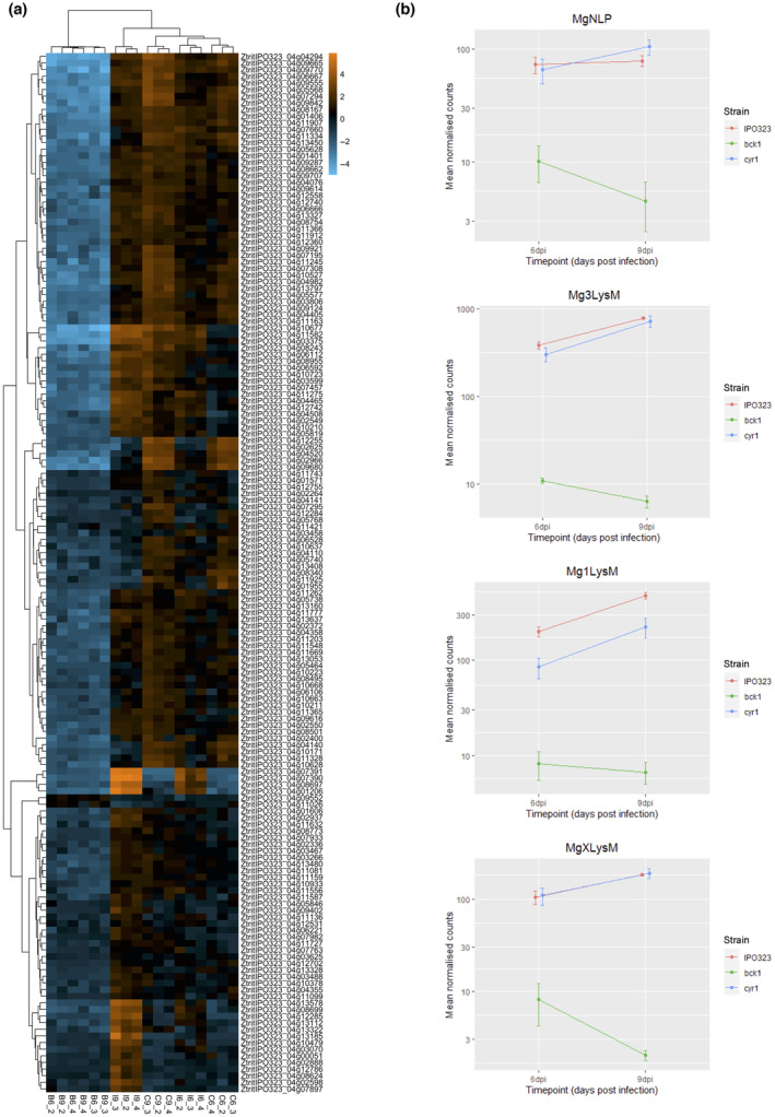 FIGURE 6