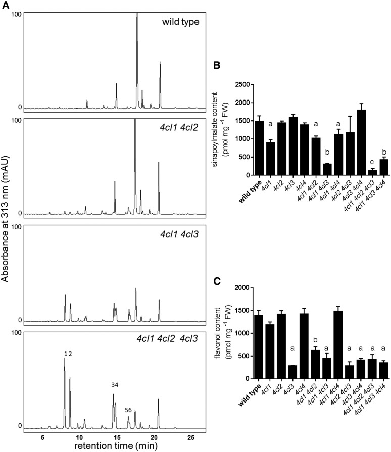 Figure 6.