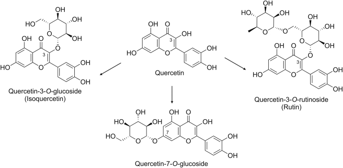 Fig. 1