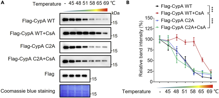 Figure 2