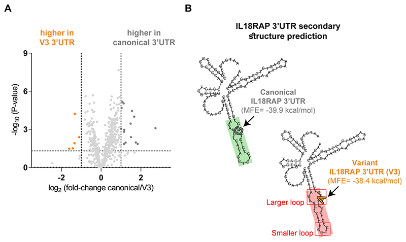 Extended Data Fig. 10