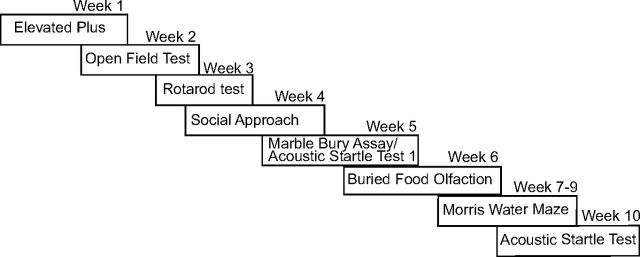 Figure 10.