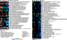 FIG 7