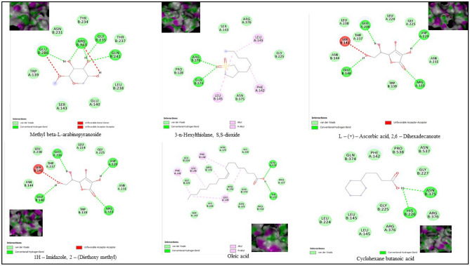 Figure 10