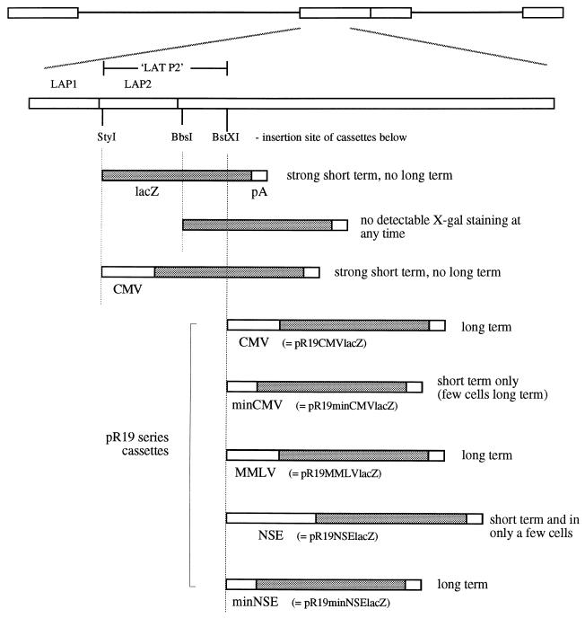 FIG. 5