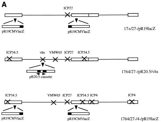 FIG. 10